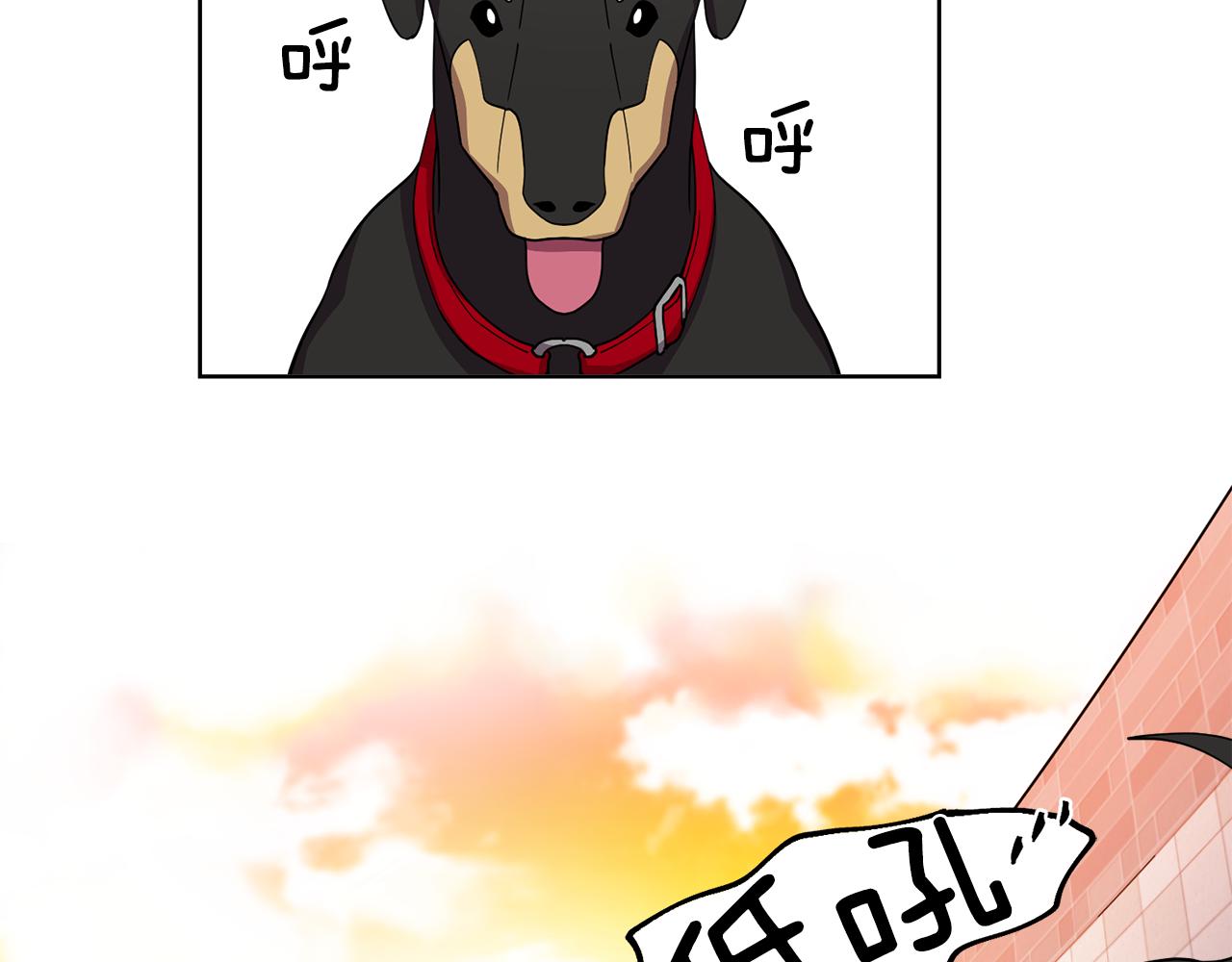 《冒牌占卜师的恋爱难题》第13话 特别的客人 第12页