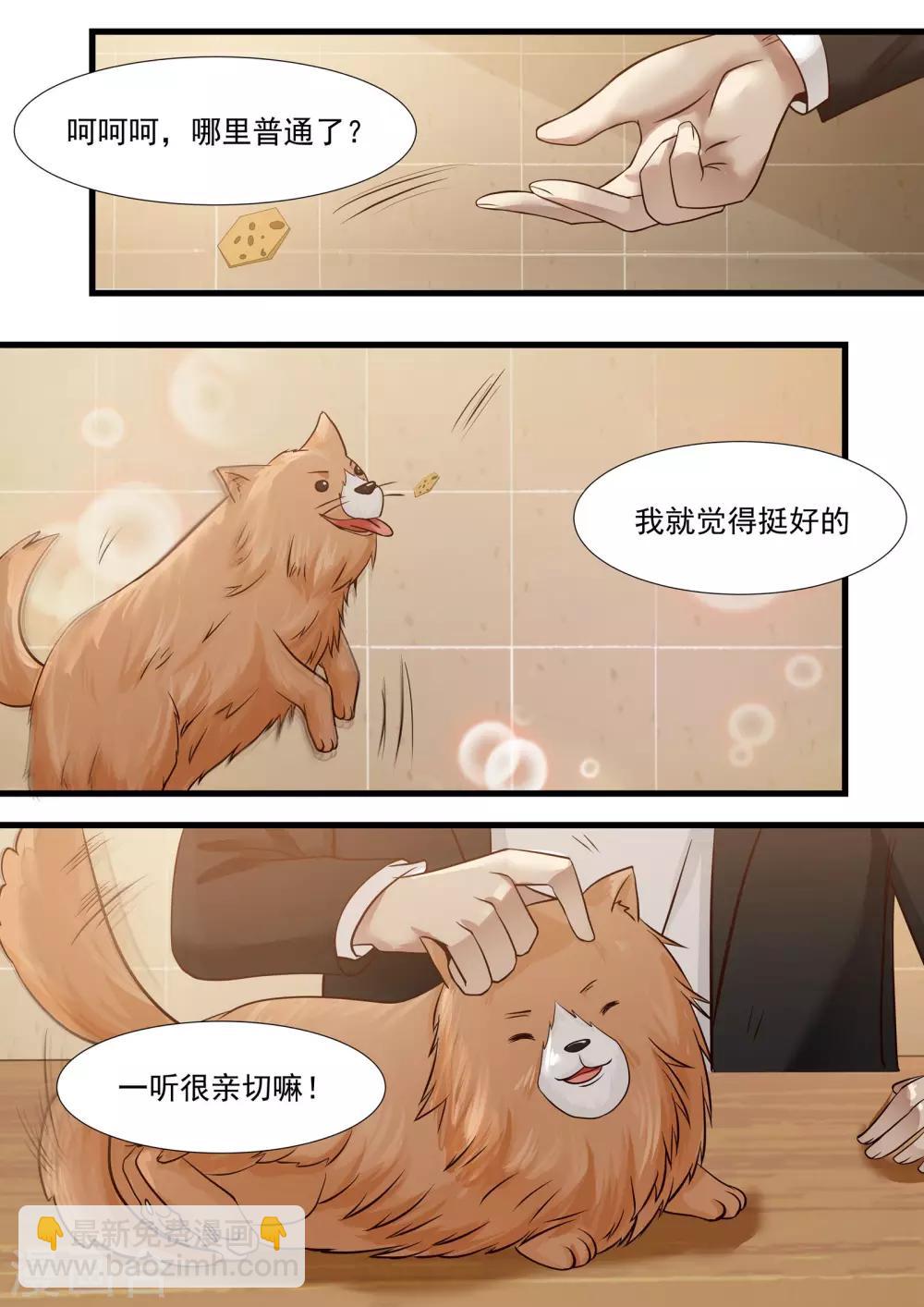 《霸道总裁圈爱记》第29话 第8页