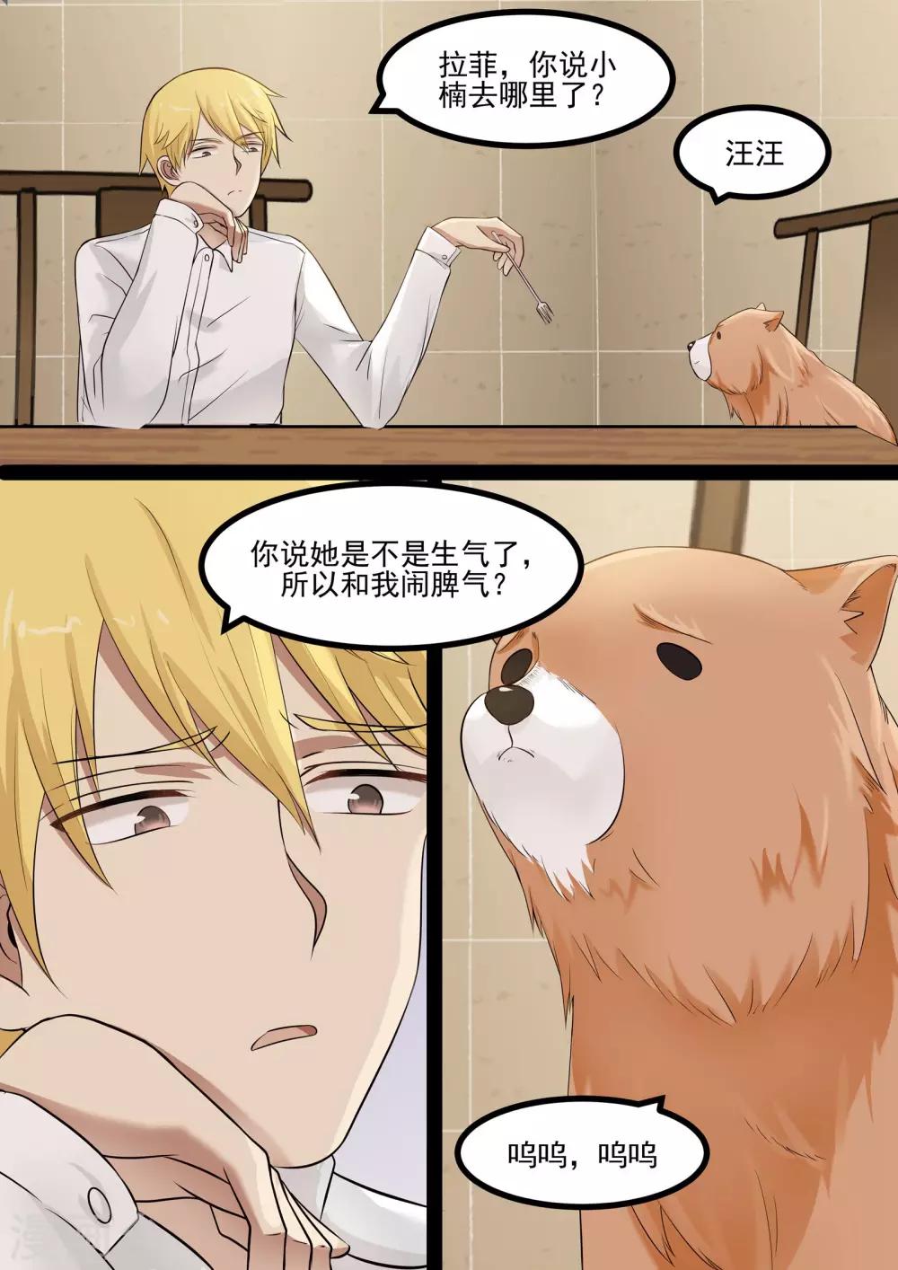 《霸道总裁圈爱记》第51话 第1页