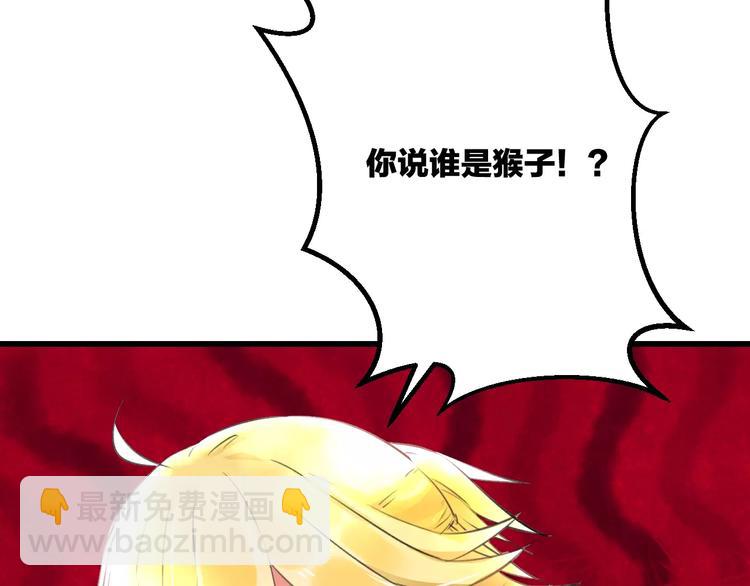 《明星老哥请出招！》第16话 金毛猴子 第15页