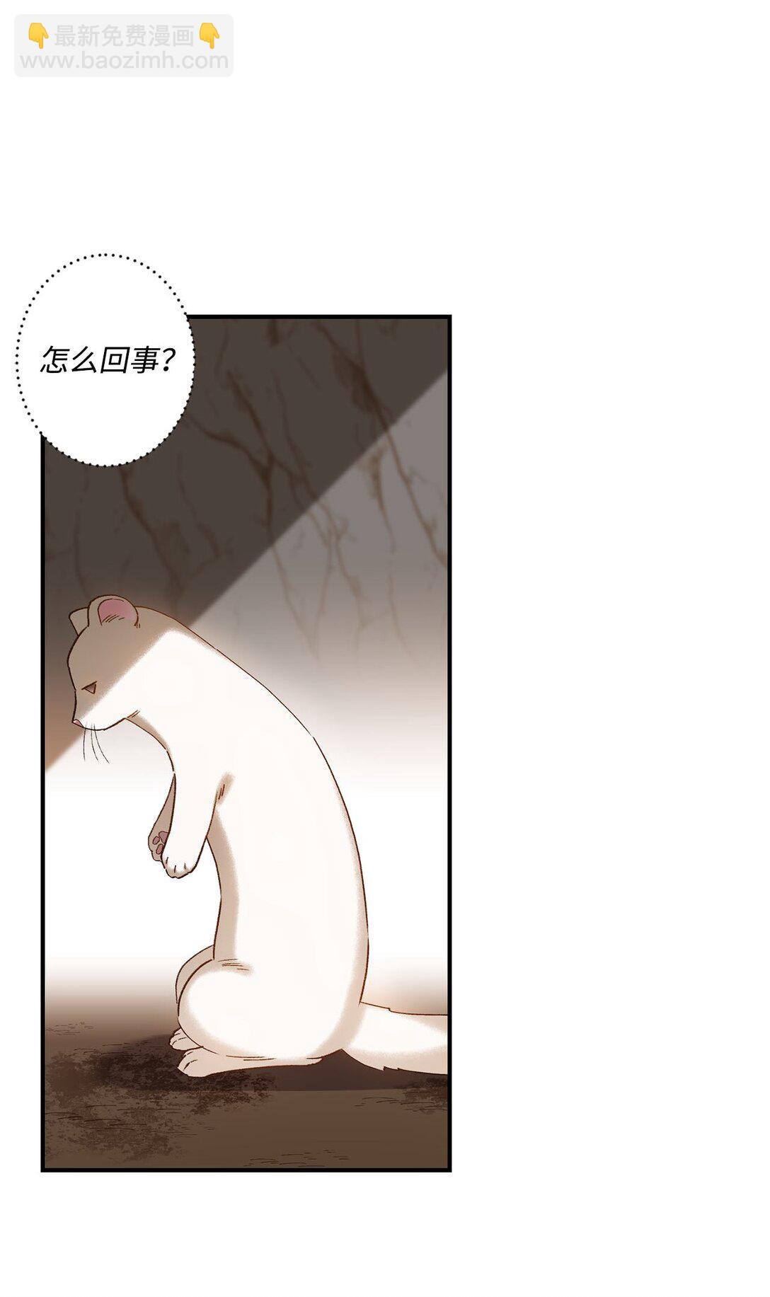 《白鼬小姐想去死》04 会说话的白鼬 第20页