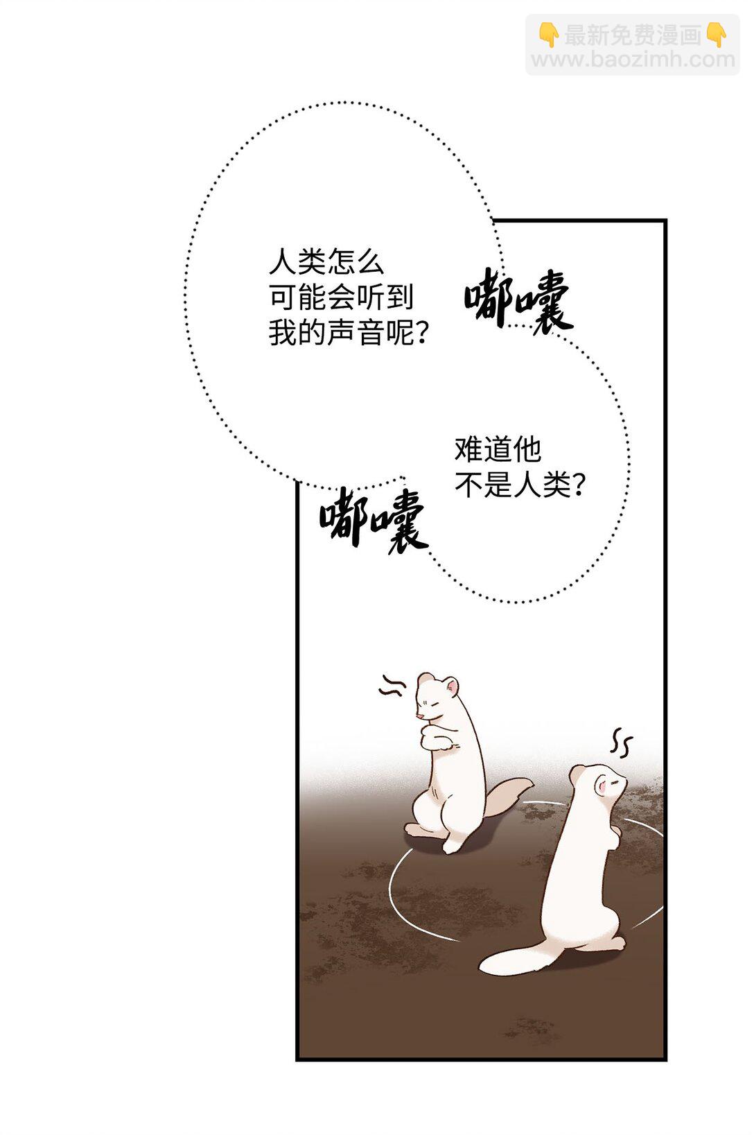 《白鼬小姐想去死》04 会说话的白鼬 第23页