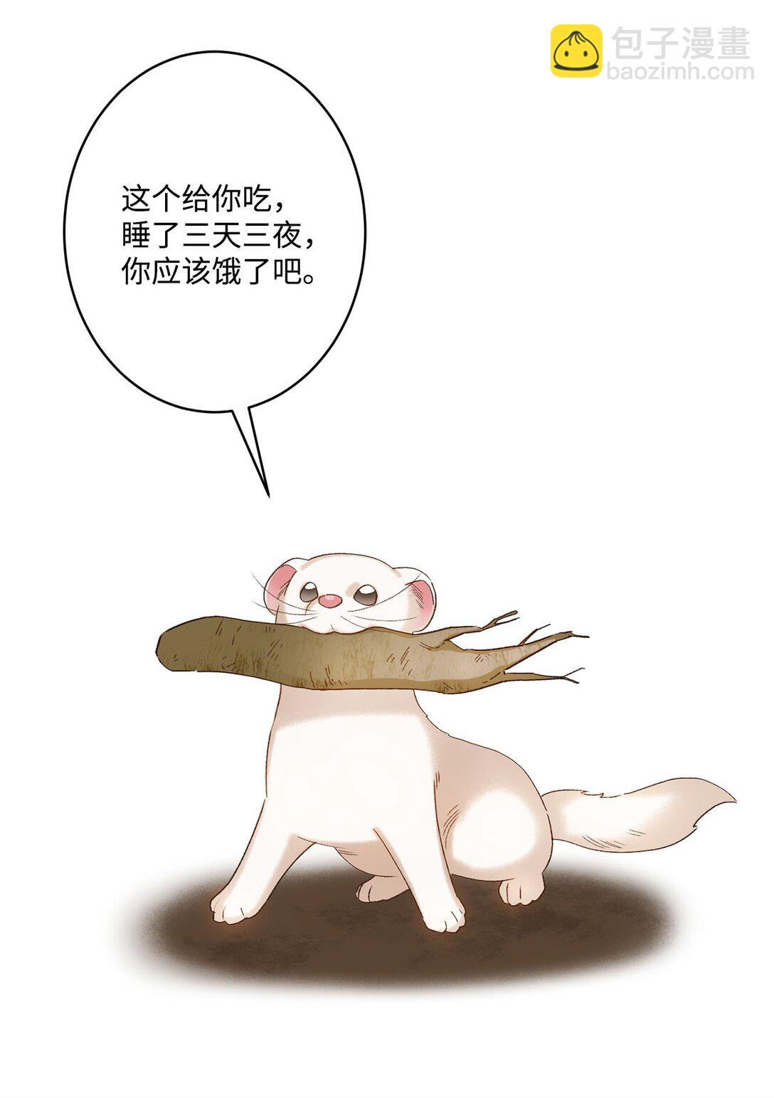 《白鼬小姐想去死》04 会说话的白鼬 第31页
