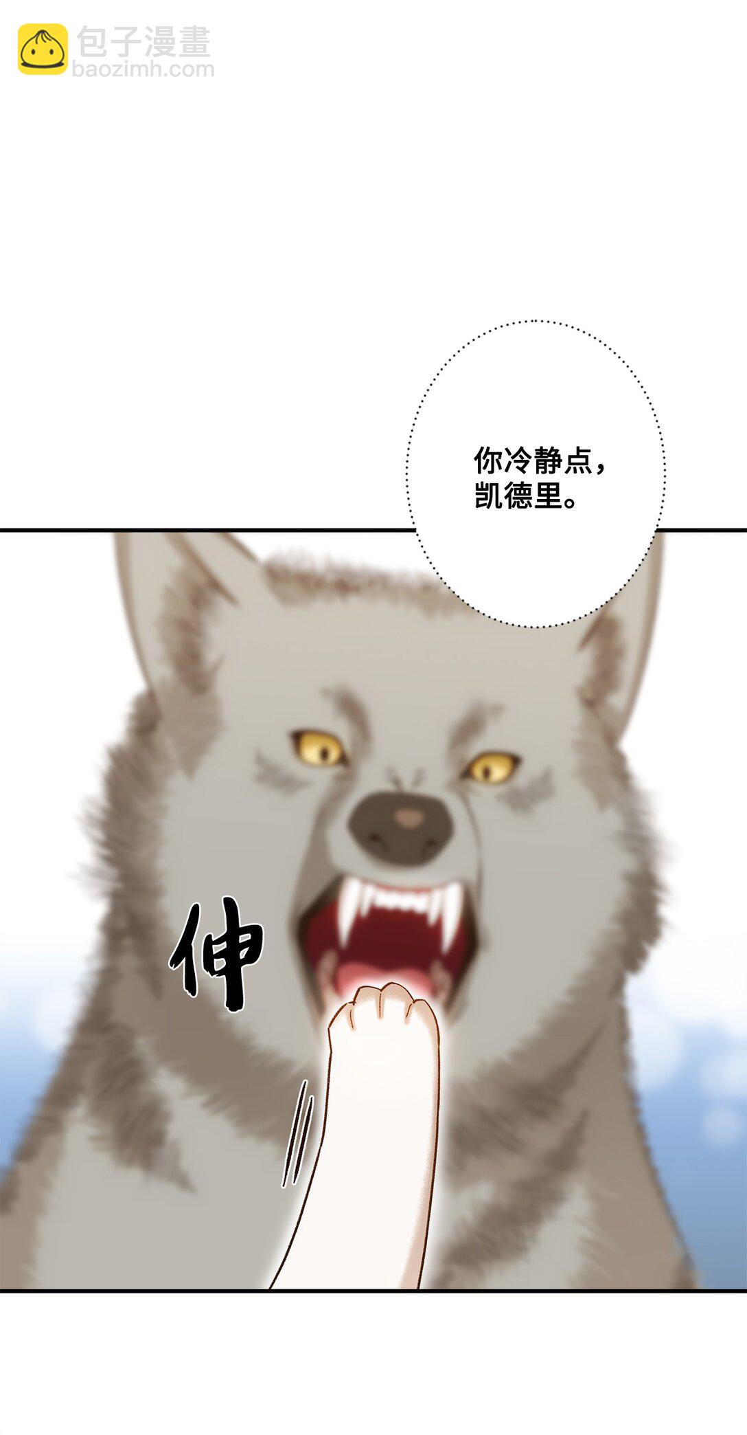 《白鼬小姐想去死》07 灰狼首领的分享 第25页