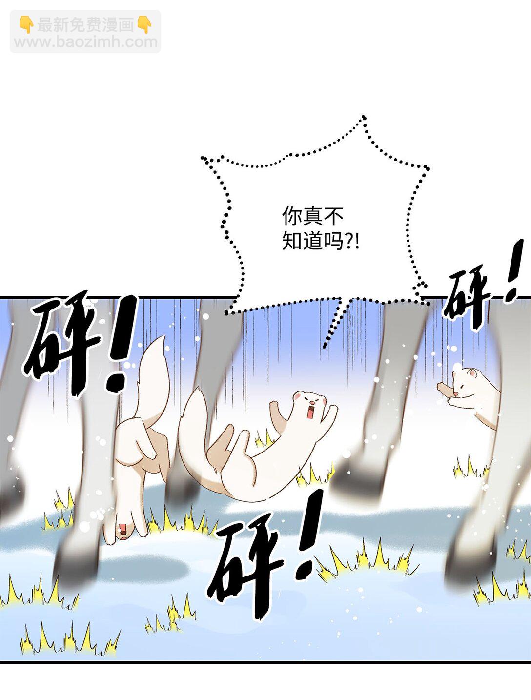 《白鼬小姐想去死》11 魔法之源 第4页