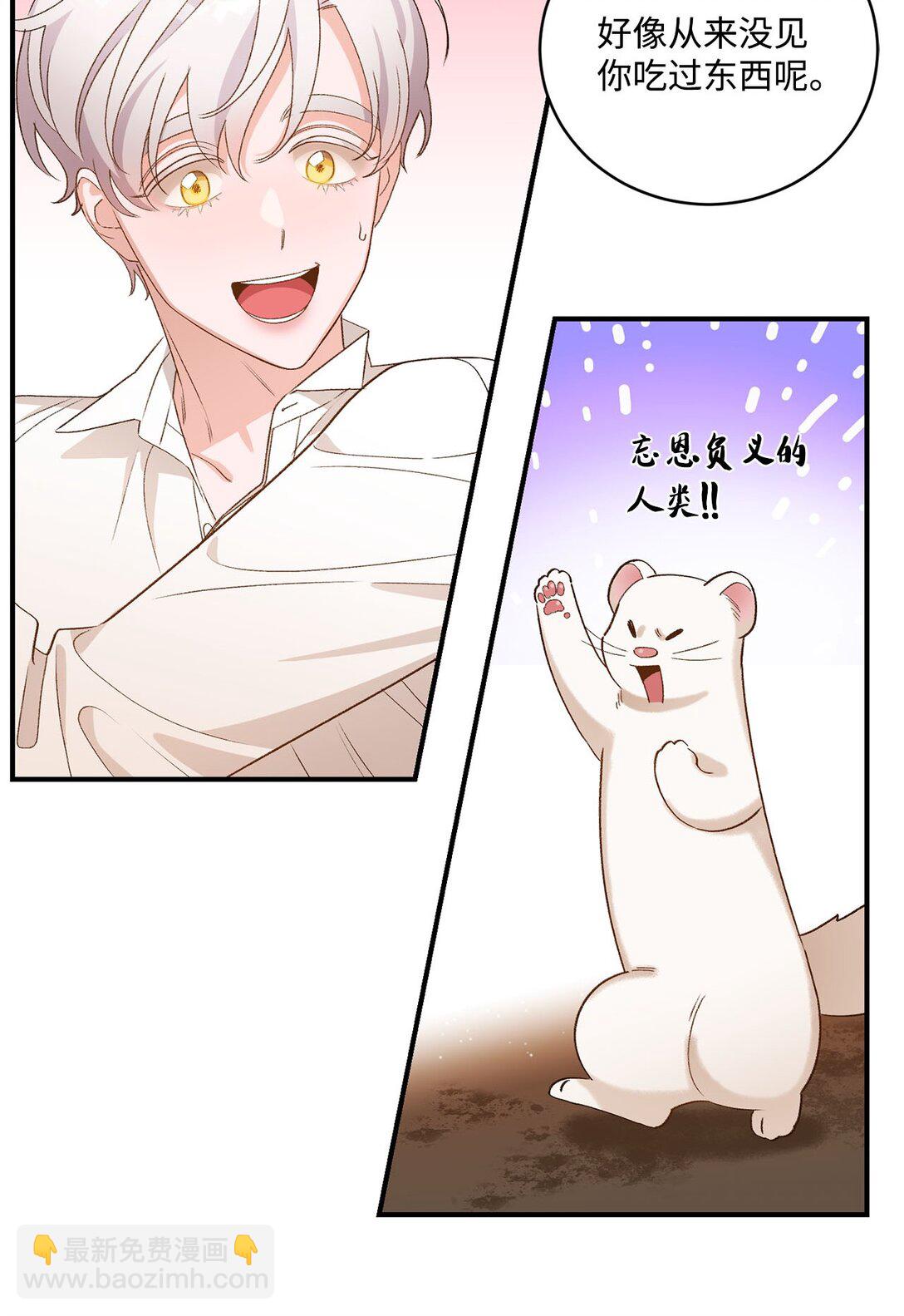 《白鼬小姐想去死》06 寻找食物 第9页