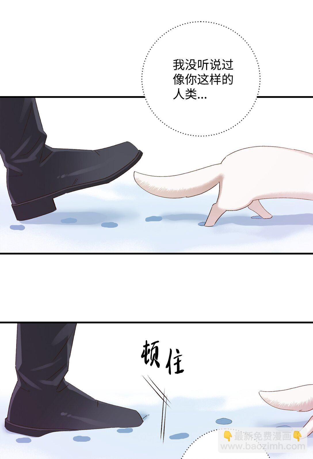 《白鼬小姐想去死》07 灰狼首领的分享 第18页