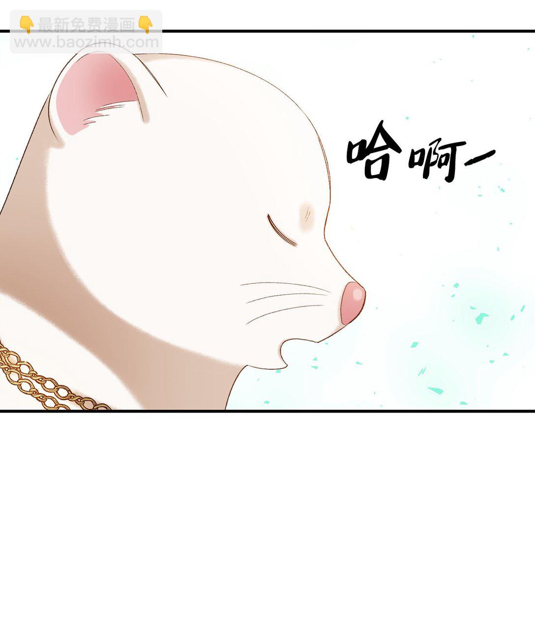 《白鼬小姐想去死》17 小试牛刀 第43页