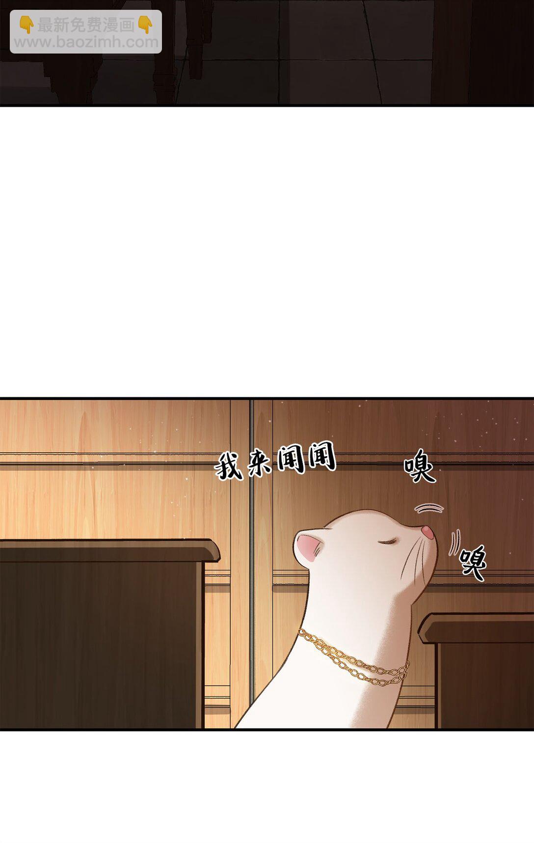 《白鼬小姐想去死》20 地下王国 第39页