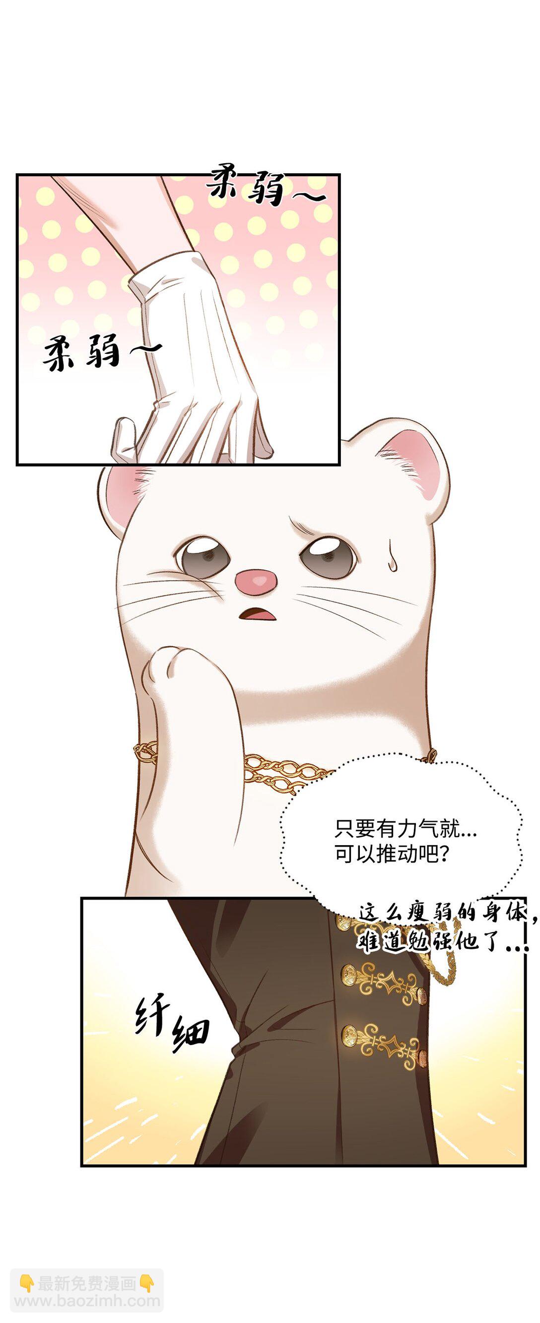 《白鼬小姐想去死》20 地下王国 第43页