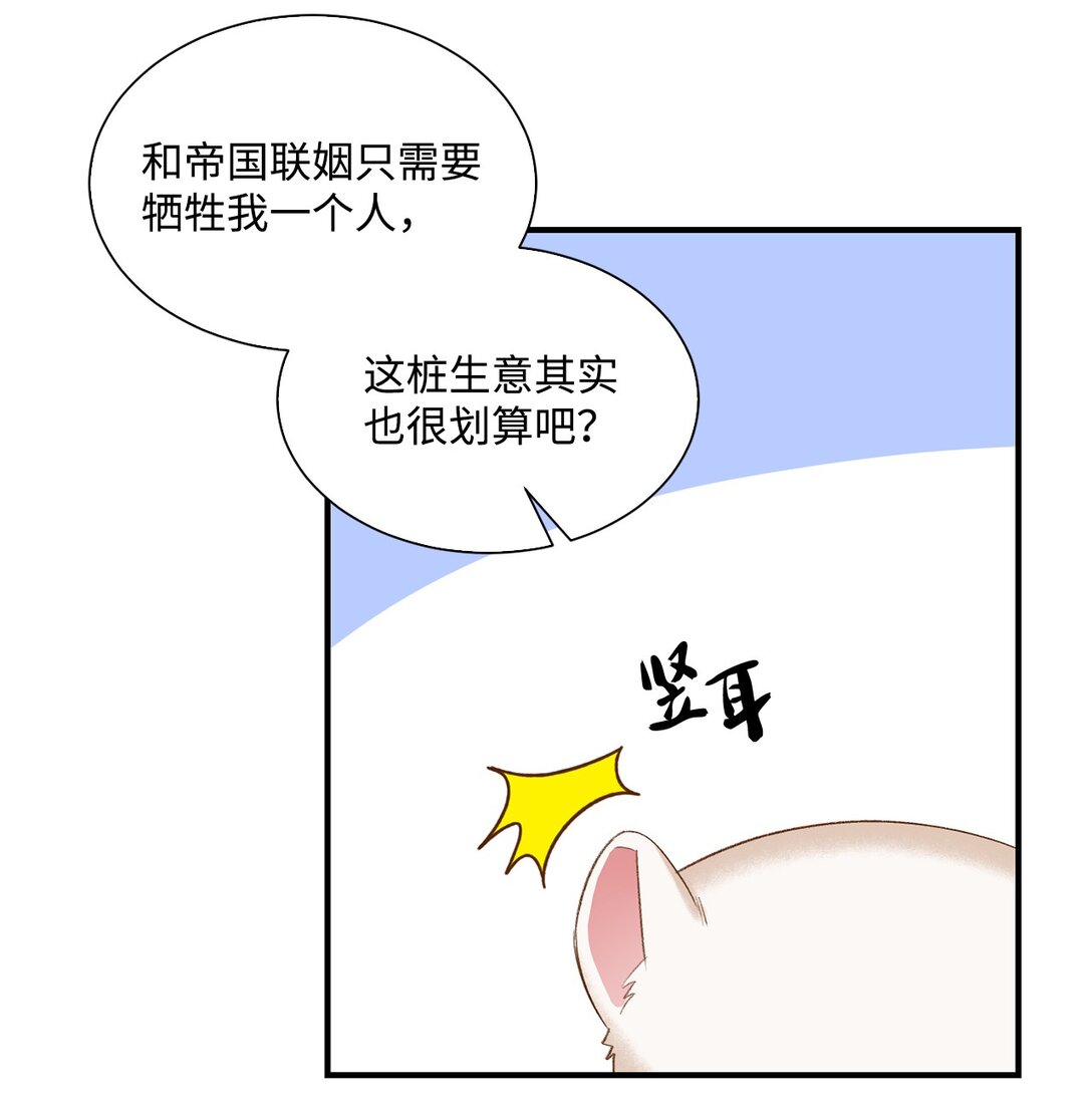 《白鼬小姐想去死》31 全都是谎言 第11页