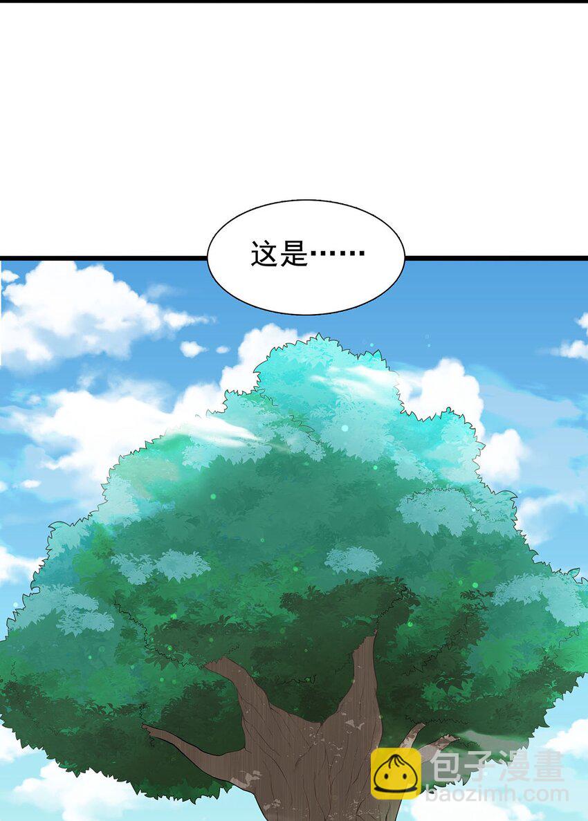 《渡劫后我变成了骷髅魔尊》32 绿宇宙？ 第3页