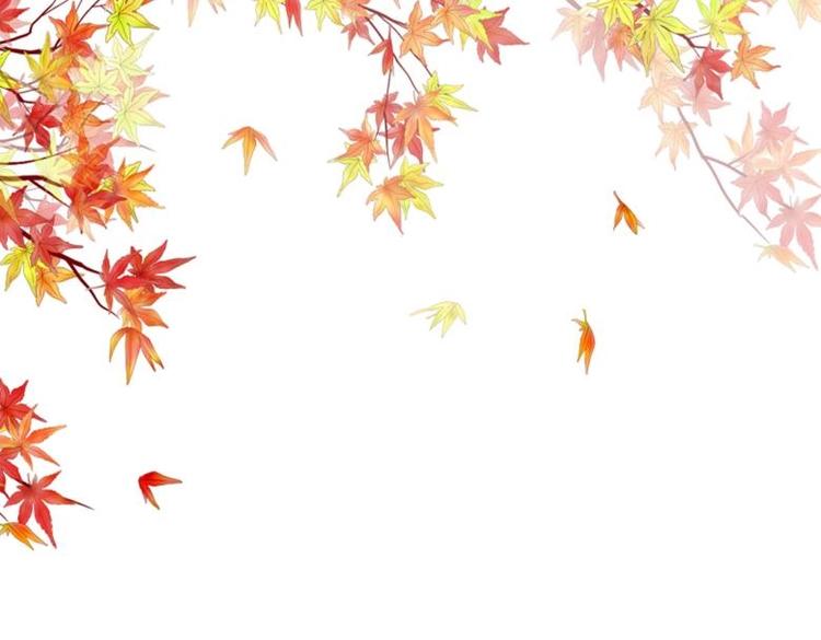 《糟糕！变成女配怎么办》30 煺婚？！ 第44页