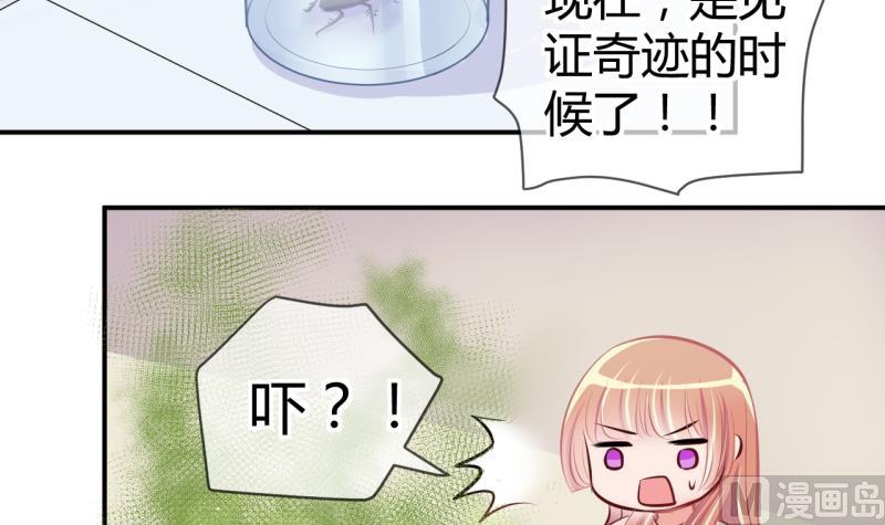 《位面交易女王》第28话 第三次位面交易 2 第30页