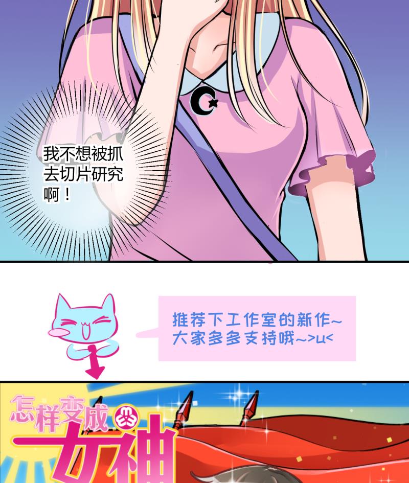 《位面交易女王》第30话 神奇的交易物品 2 第35页