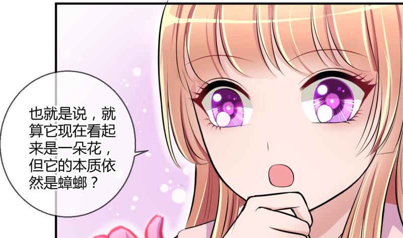 《位面交易女王》第29话 神奇的交易物品 1 第11页