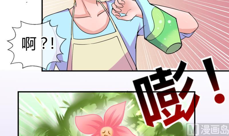 《位面交易女王》第41话 丁珰的反击 1 第12页