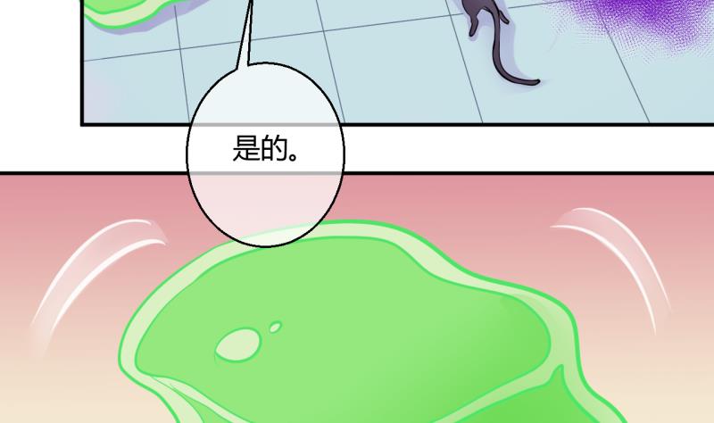 《位面交易女王》第44话 可怜的菜鸟 2 第25页