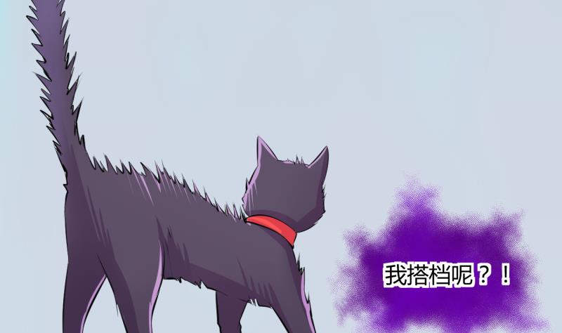 《位面交易女王》第44话 可怜的菜鸟 2 第16页
