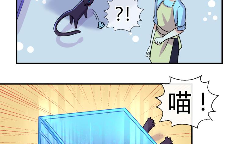 《位面交易女王》第41话 丁珰的反击 1 第10页