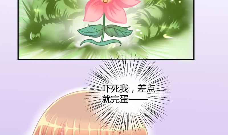 《位面交易女王》第41话 丁珰的反击 1 第13页