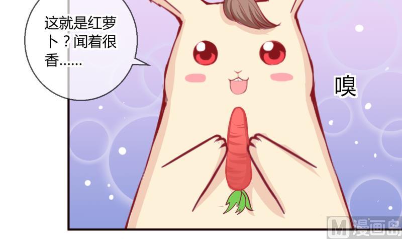 《位面交易女王》第54话 第四次位面交易 2 第18页