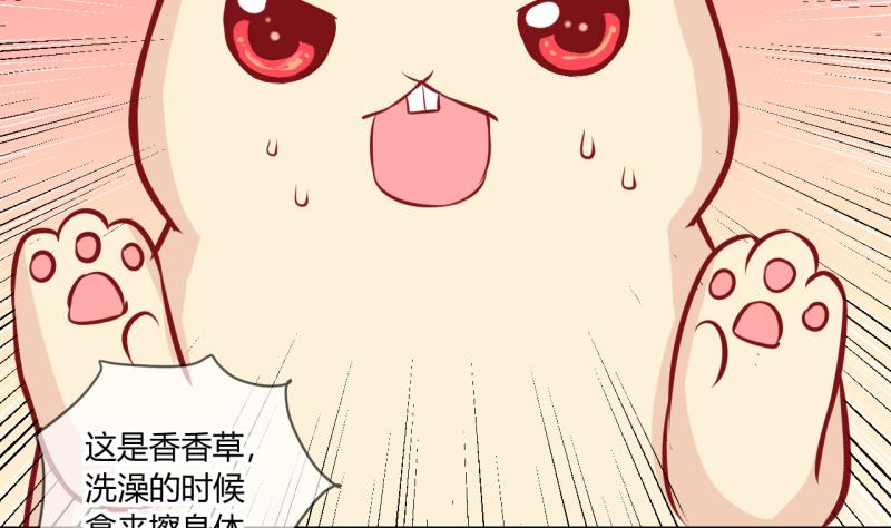 《位面交易女王》第55话 兔子先生的交易物品 1 第4页