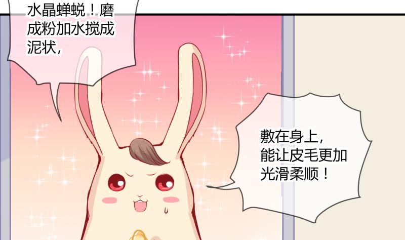 《位面交易女王》第55话 兔子先生的交易物品 1 第8页