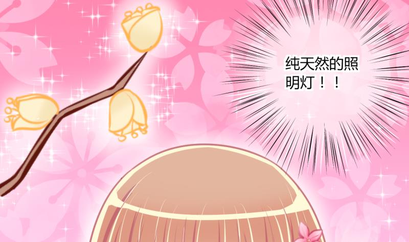 《位面交易女王》第55话 兔子先生的交易物品 1 第19页