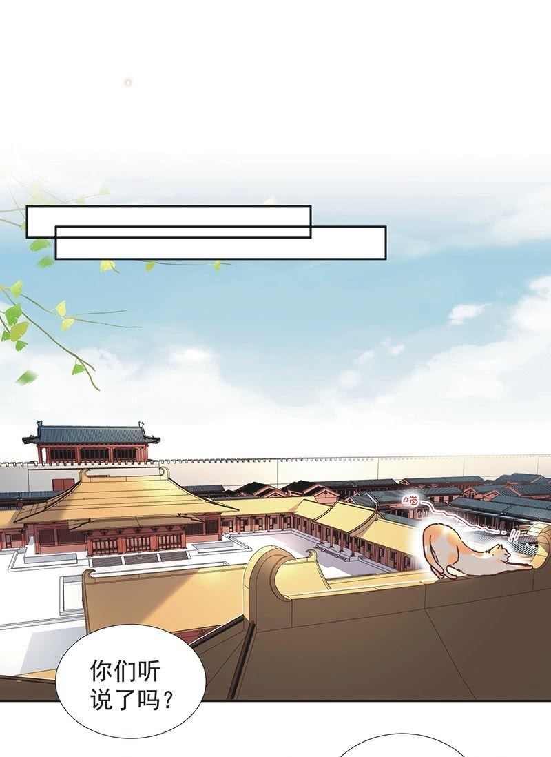 《皇帝宣我上通告》第七十三话 第11页
