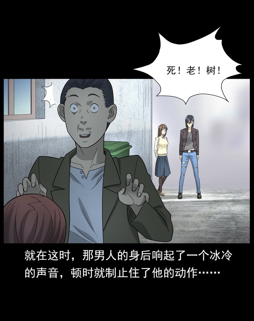 《彼岸姐妹》014 老树 第29页