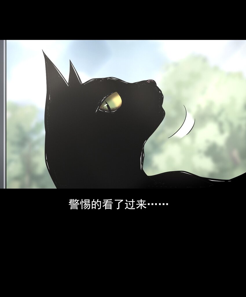 《彼岸姐妹》036 诡异的黑猫（下） 第11页