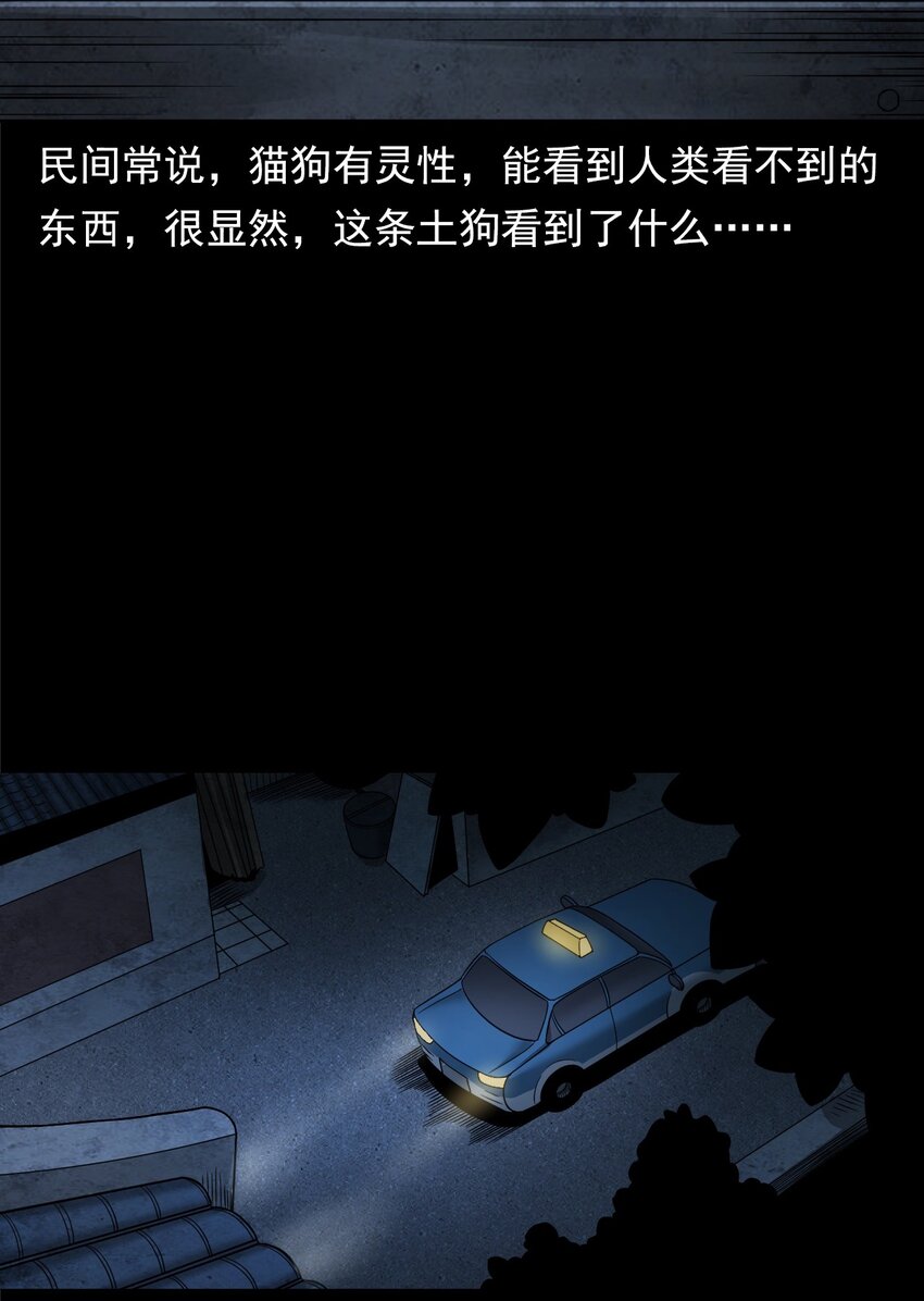 《彼岸姐妹》037 赶尸（上） 第14页