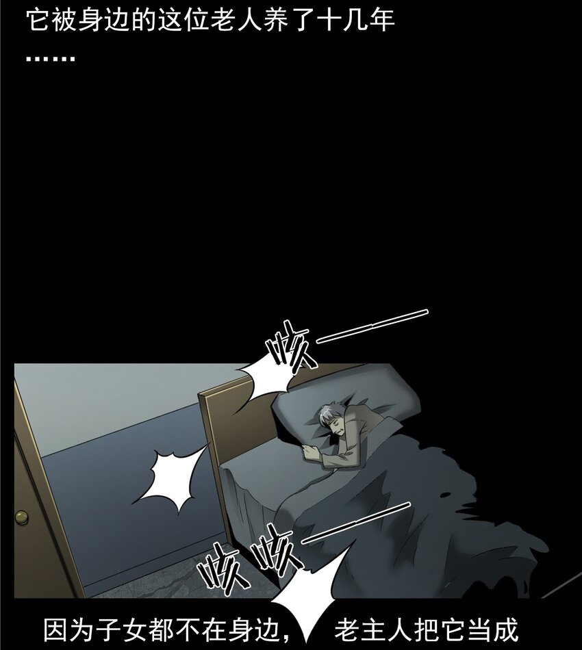 《彼岸姐妹》043 灵犭（下） 第12页