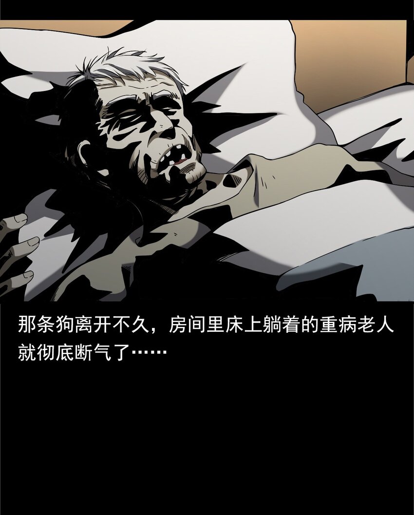 《彼岸姐妹》042 灵犭（上） 第12页