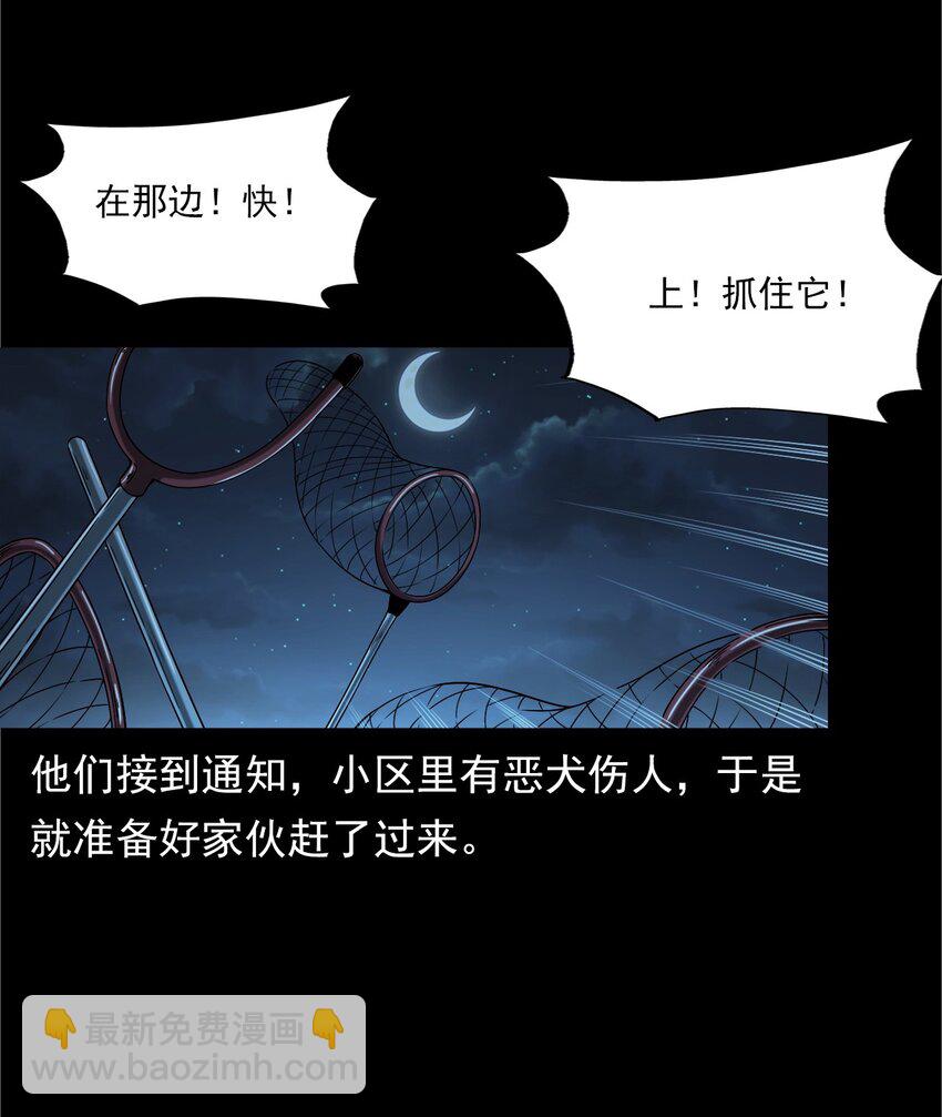 《彼岸姐妹》042 灵犭（上） 第48页