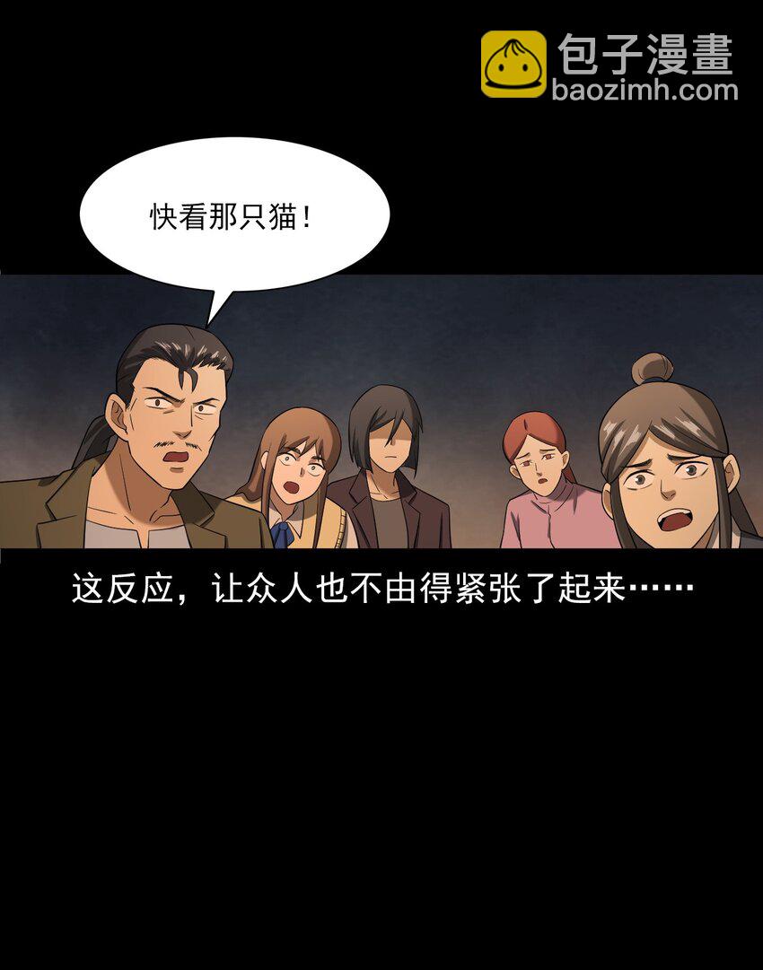 《彼岸姐妹》060 苗山猫妖 第39页