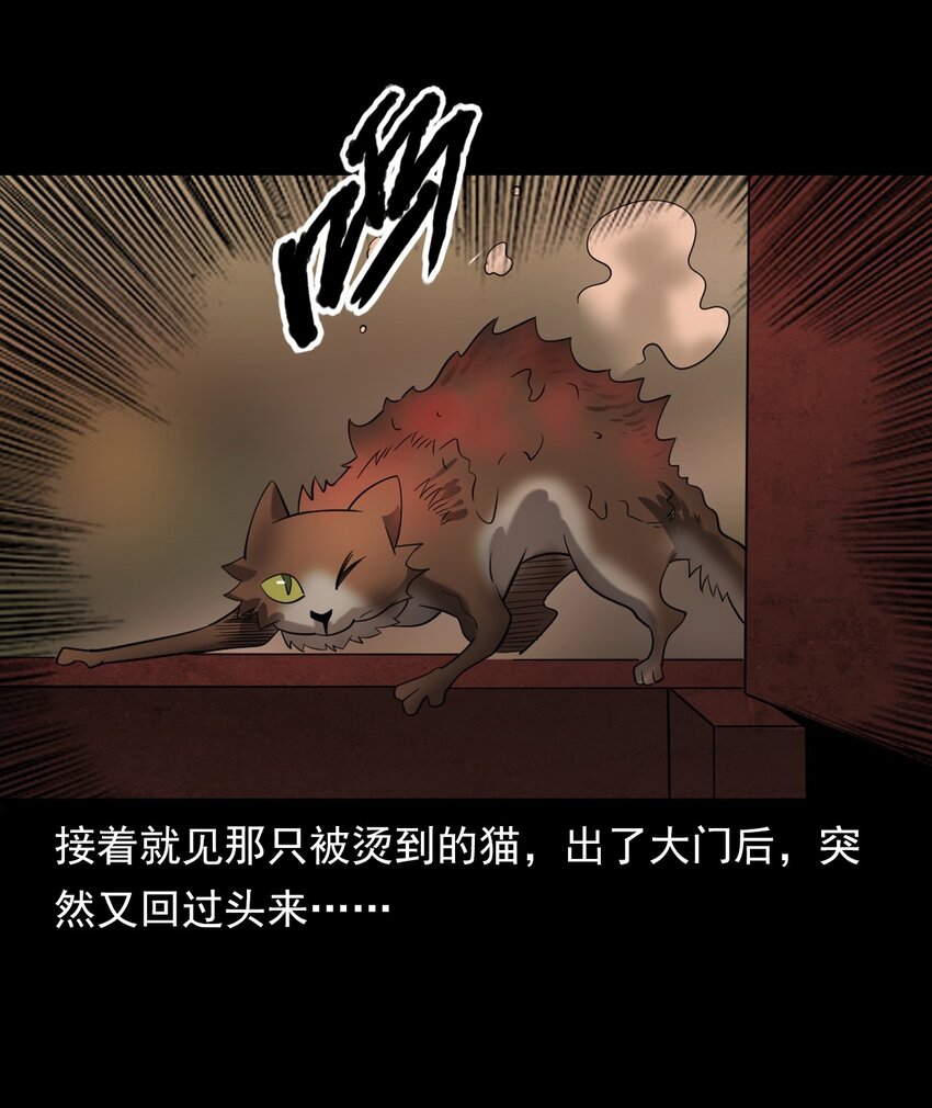 《彼岸姐妹》060 苗山猫妖 第40页