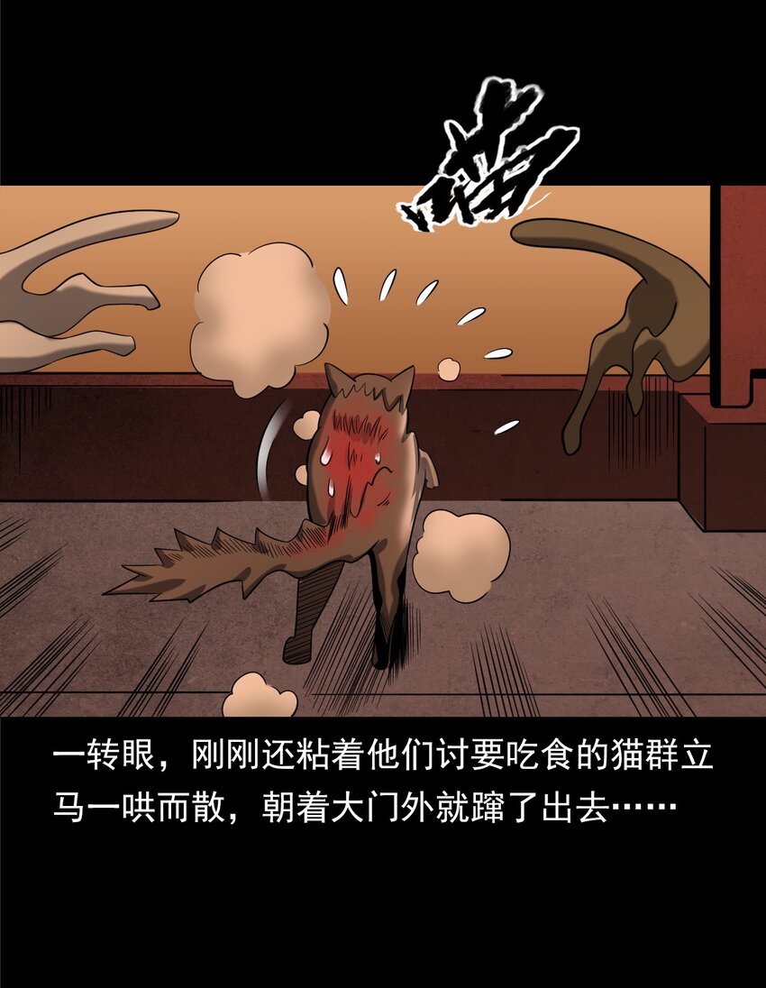 《彼岸姐妹》060 苗山猫妖 第34页