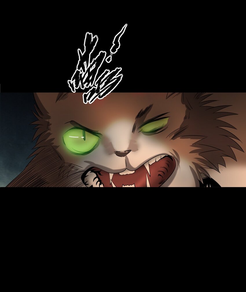 《彼岸姐妹》060 苗山猫妖 第41页