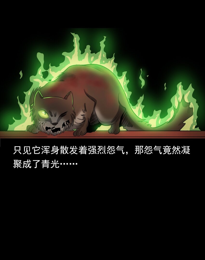 《彼岸姐妹》060 苗山猫妖 第45页