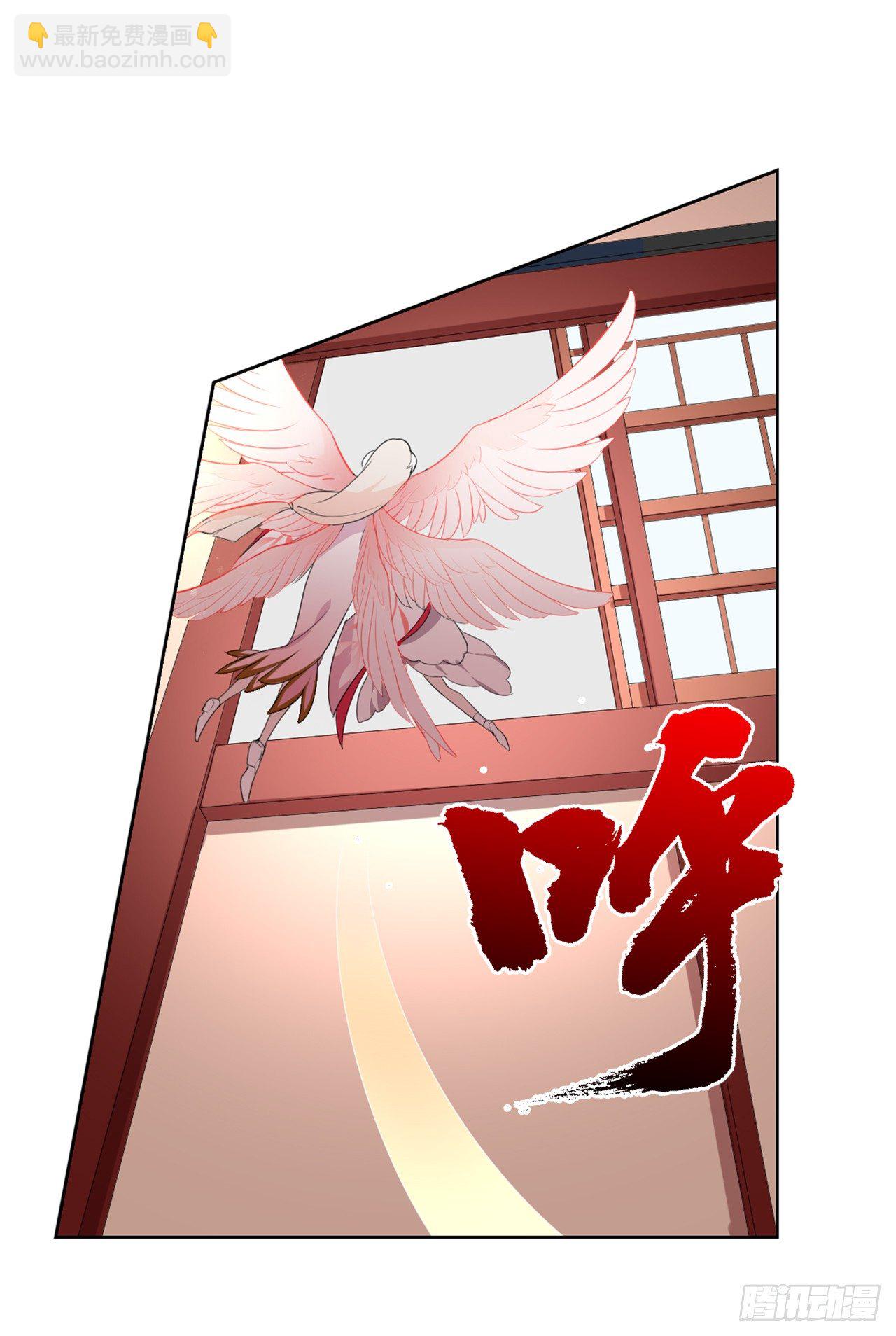 《放开那只白凤凰（如鸾）》一觉睡了一千年 第37页