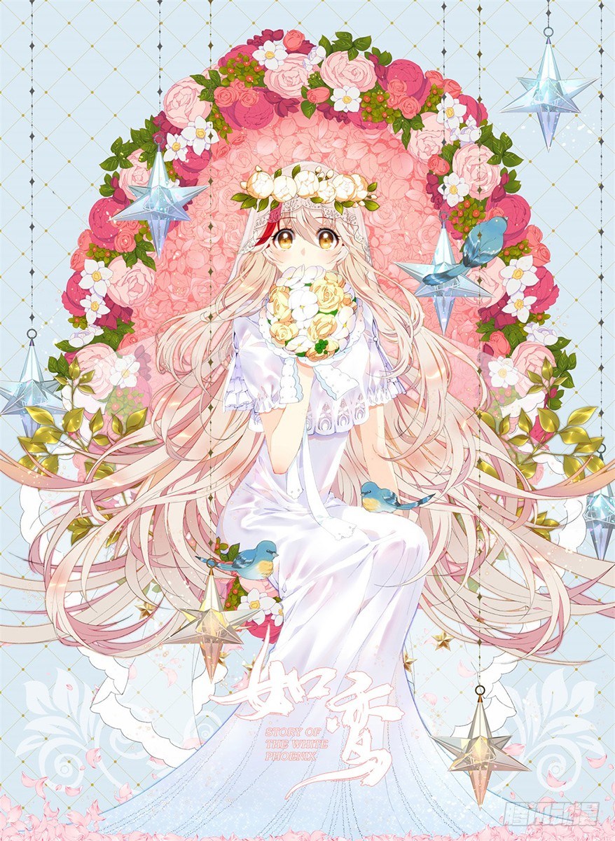 《放开那只白凤凰（如鸾）》夺走我初吻的人要来抢婚 第1页