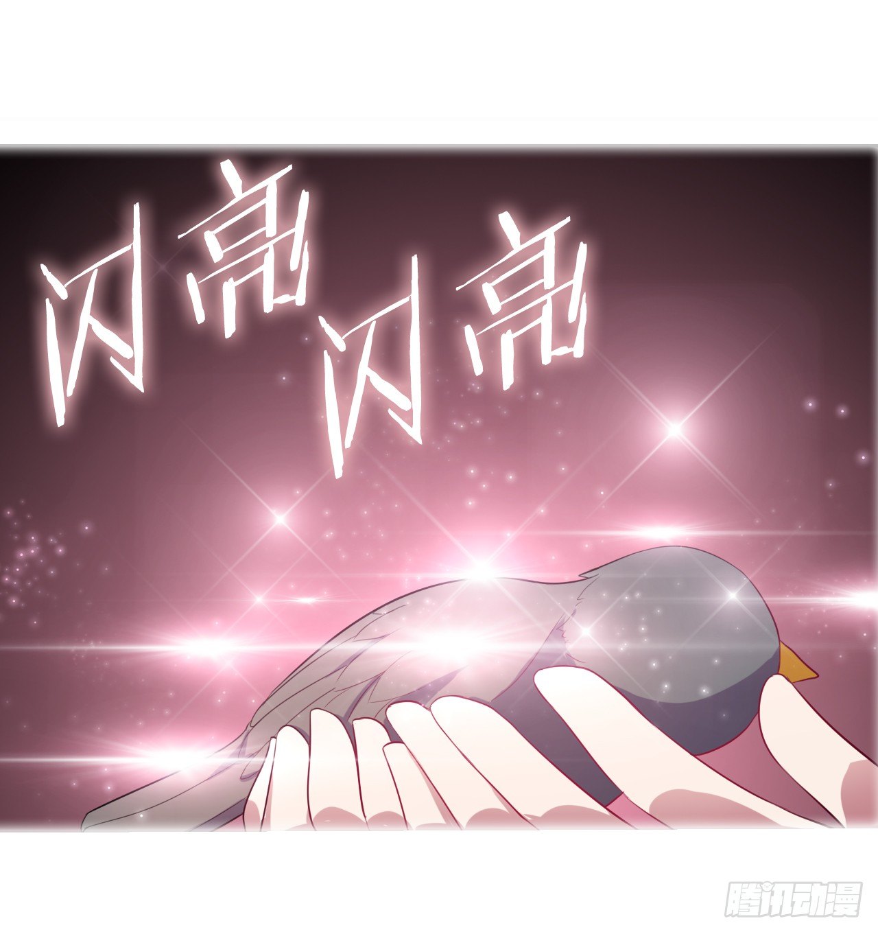 《放开那只白凤凰（如鸾）》我所能做的事 第20页