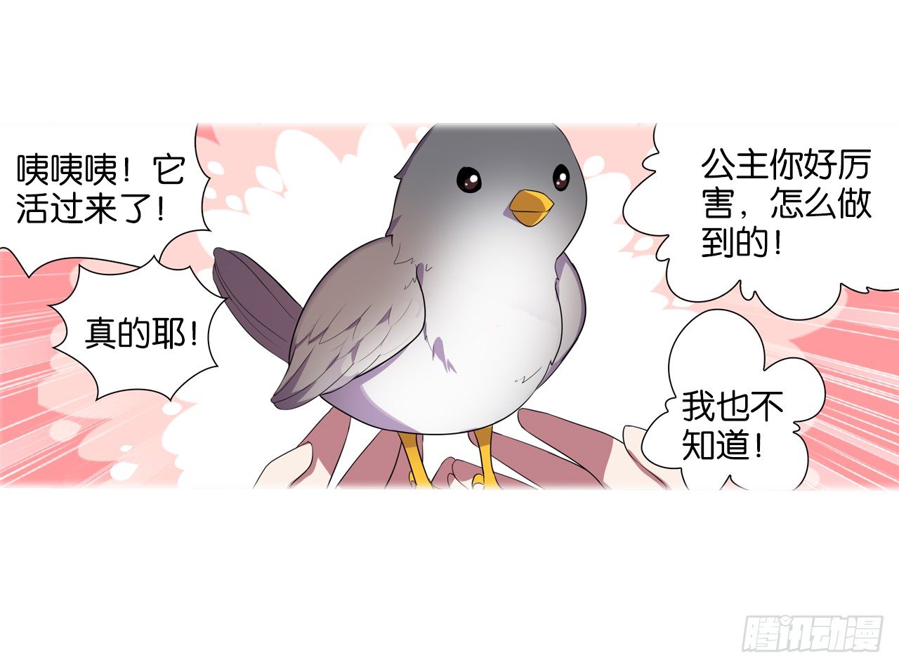 《放开那只白凤凰（如鸾）》我所能做的事 第22页