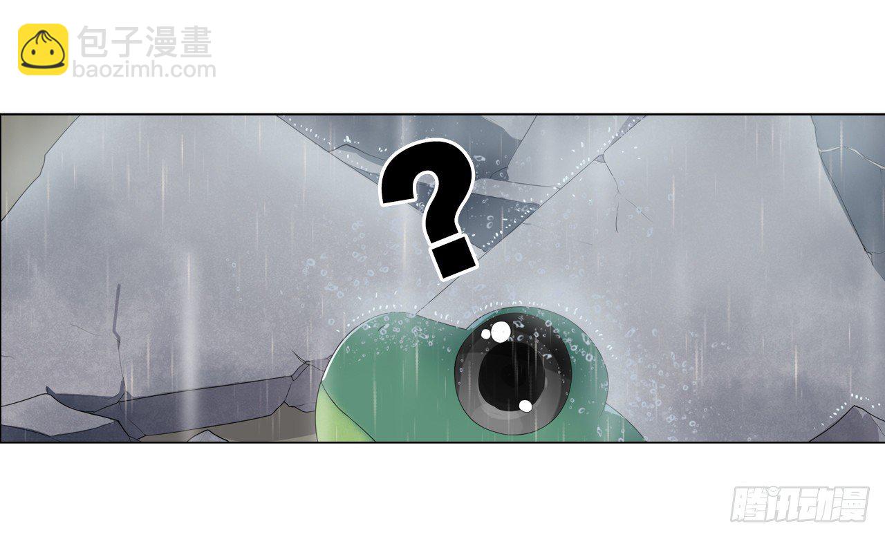 《放开那只白凤凰（如鸾）》他的过去 第4页