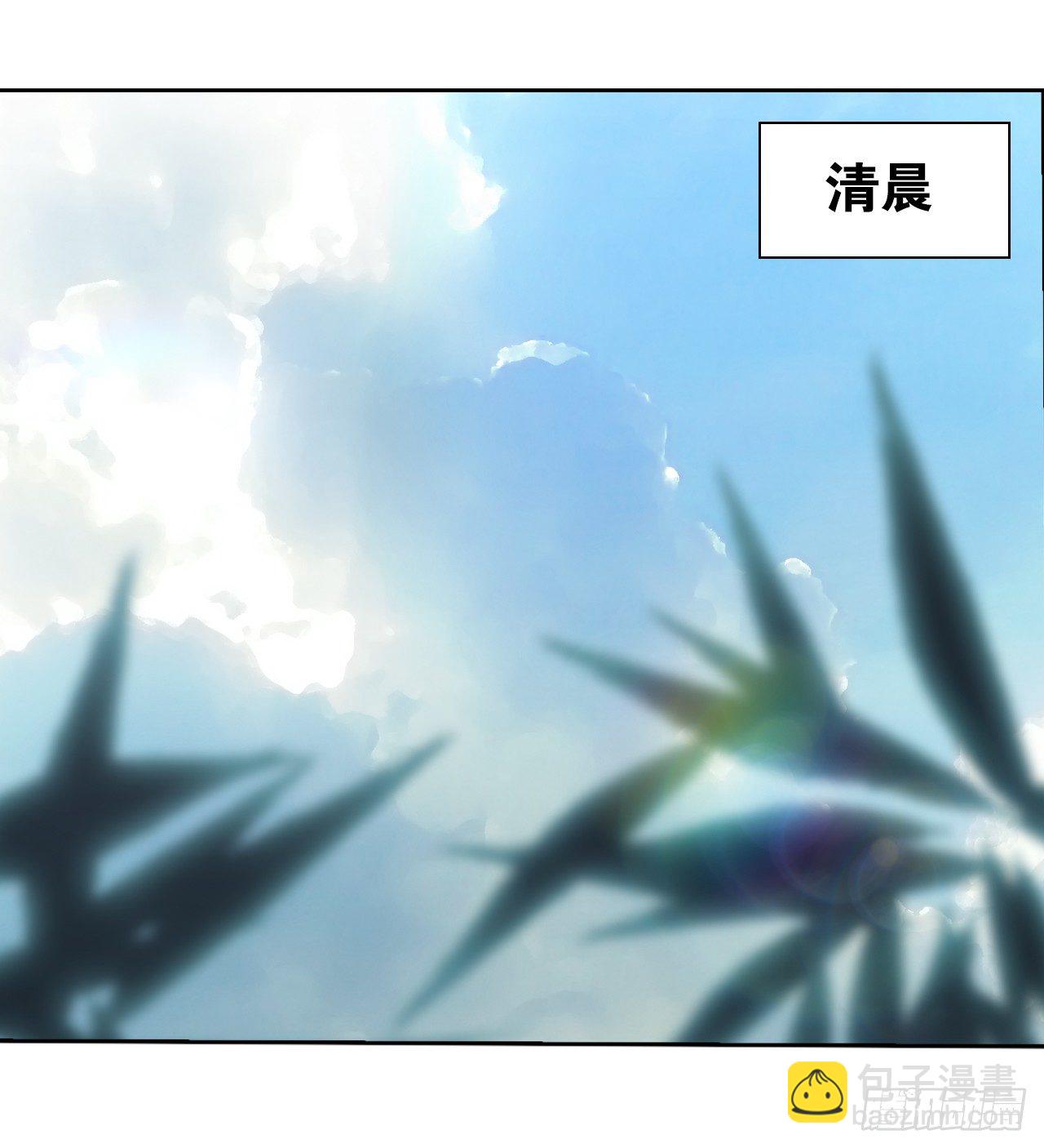 《放开那只白凤凰（如鸾）》本公主会对你负责 第11页