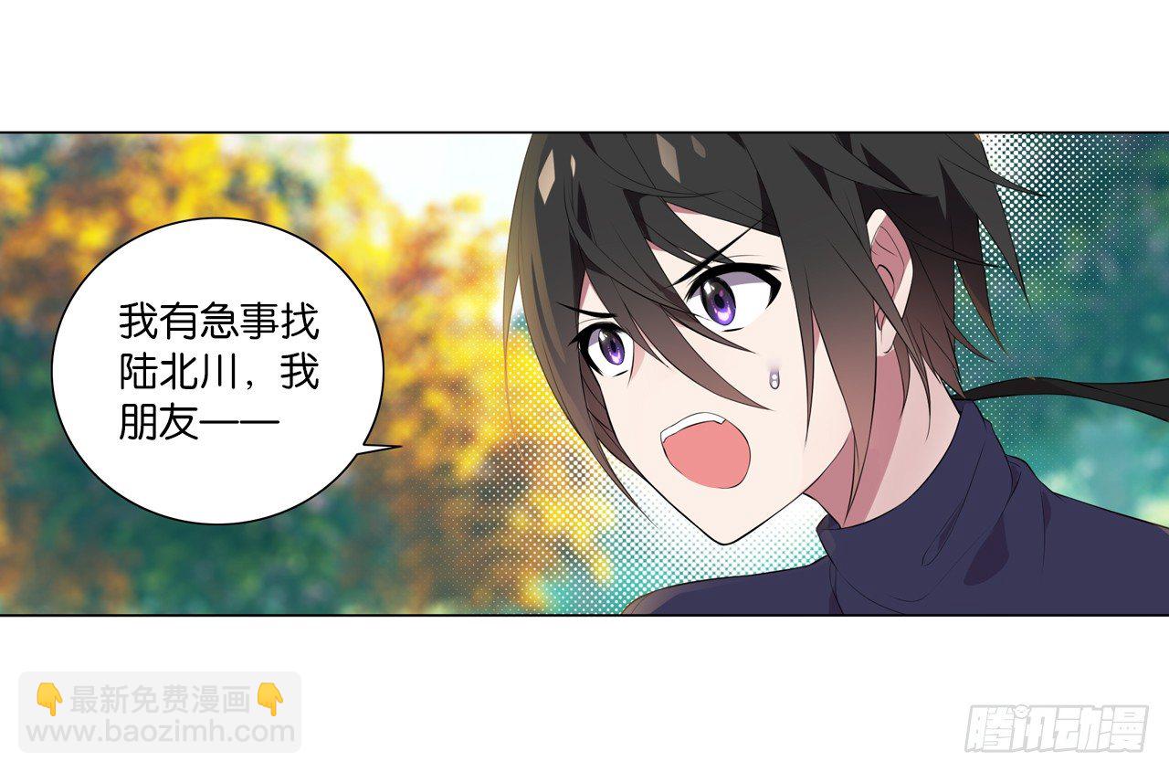 《放开那只白凤凰（如鸾）》陆先生不见客 第13页
