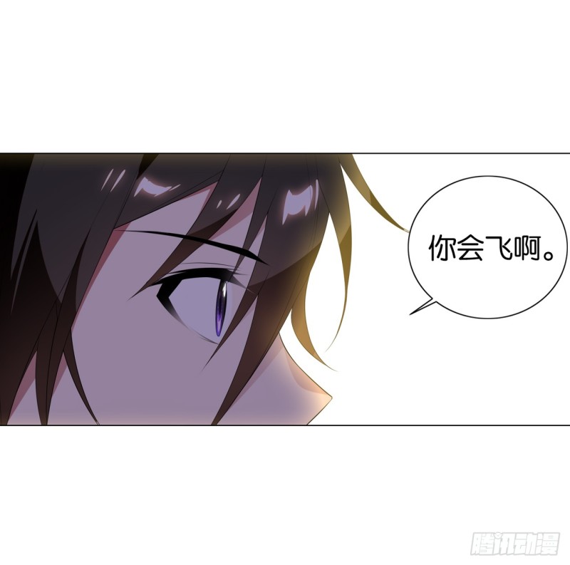 《放开那只白凤凰（如鸾）》京城（下） 第11页