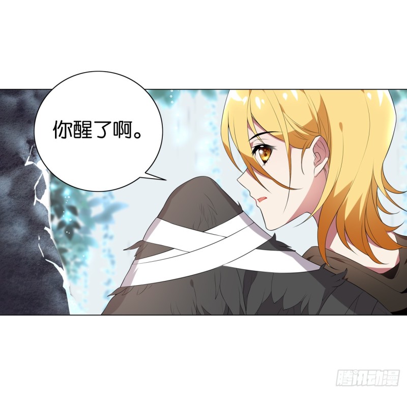 《放开那只白凤凰（如鸾）》血脉（上） 第22页